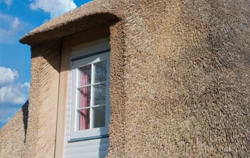 Pickup Bank thatch roof disadvantages
