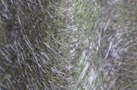 Pickup Bank fibreglass roof work